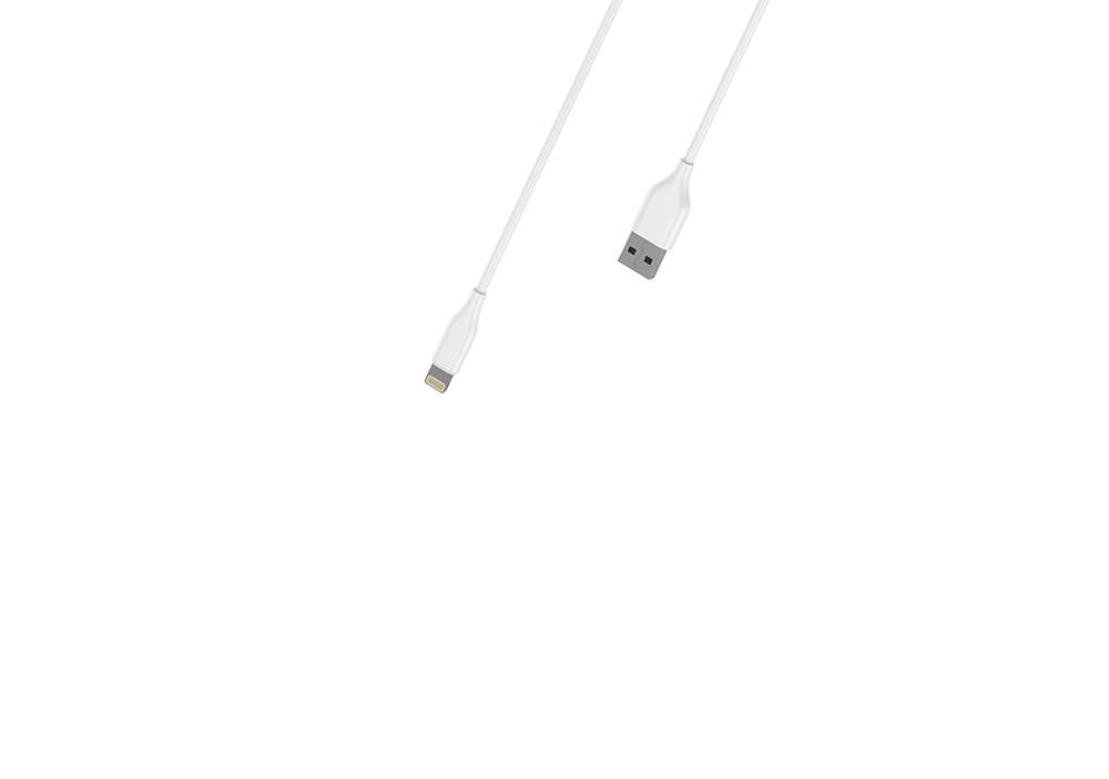 RIVERSONG 12W Dual Port Wall Charger with 1M Lightning Cable - AD29L