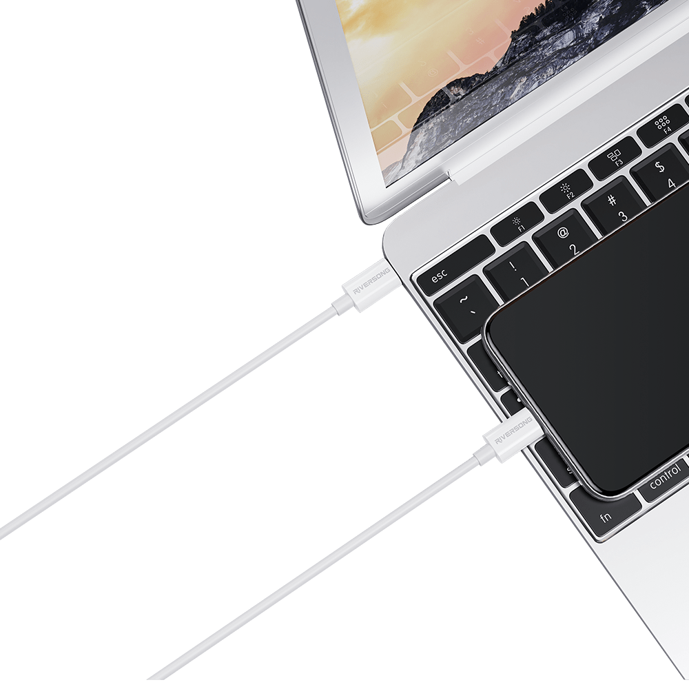 RIVERSONG 1M(3.3ft) 60W USB-C to USB-C Fast Charging Cable - CT76